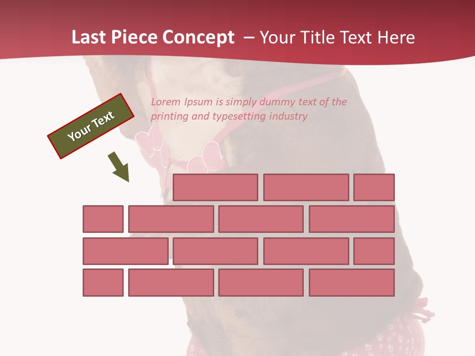 Bikini Wearing Funny PowerPoint Template