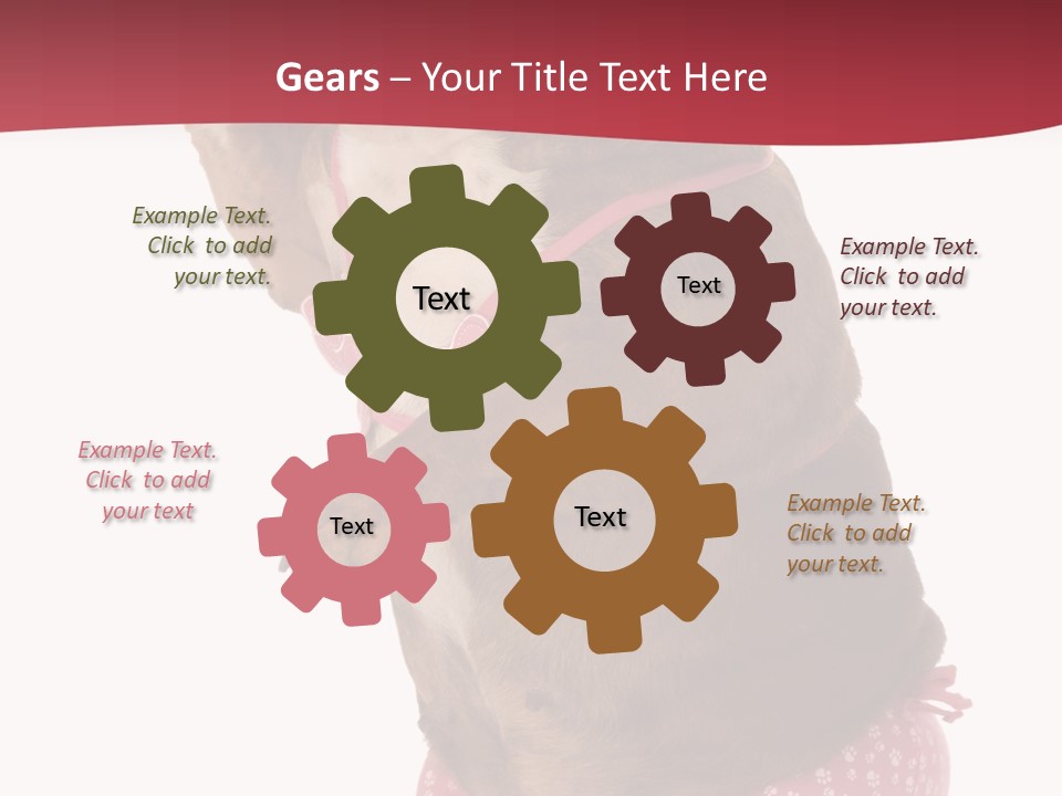 Bikini Wearing Funny PowerPoint Template