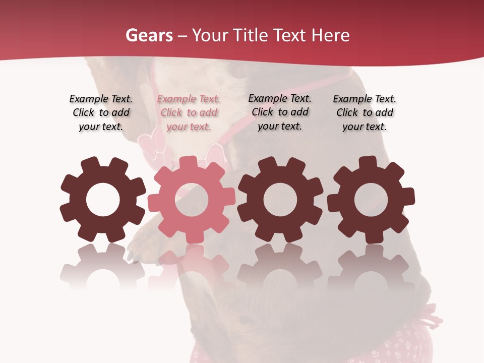 Bikini Wearing Funny PowerPoint Template