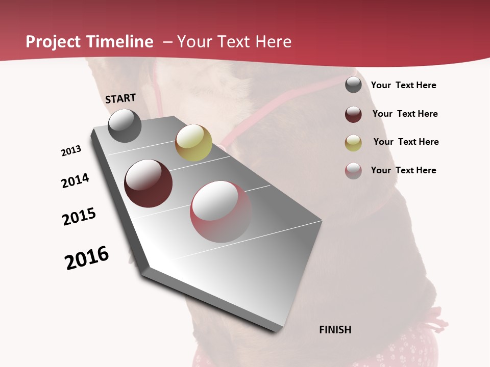 Bikini Wearing Funny PowerPoint Template