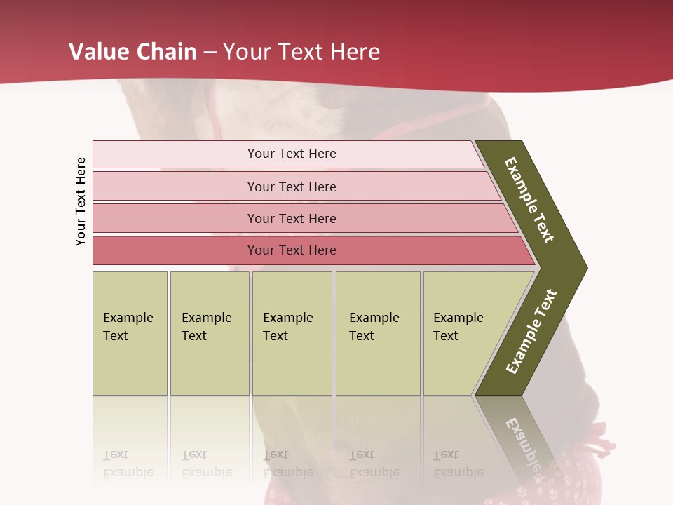 Bikini Wearing Funny PowerPoint Template