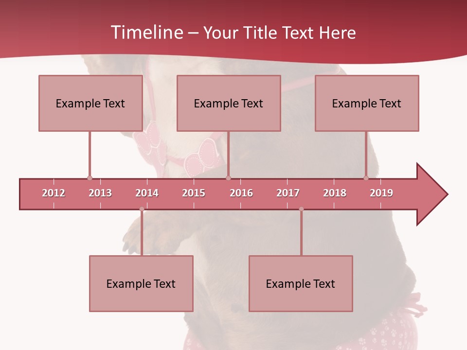 Bikini Wearing Funny PowerPoint Template