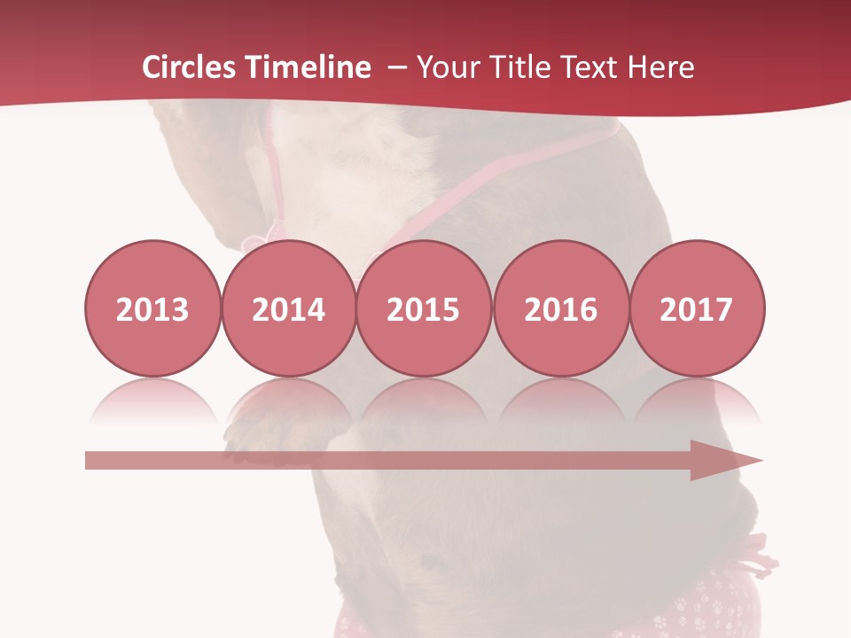 Bikini Wearing Funny PowerPoint Template