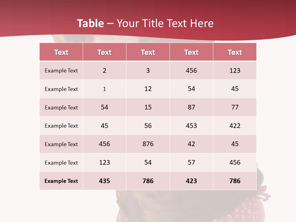 Bikini Wearing Funny PowerPoint Template