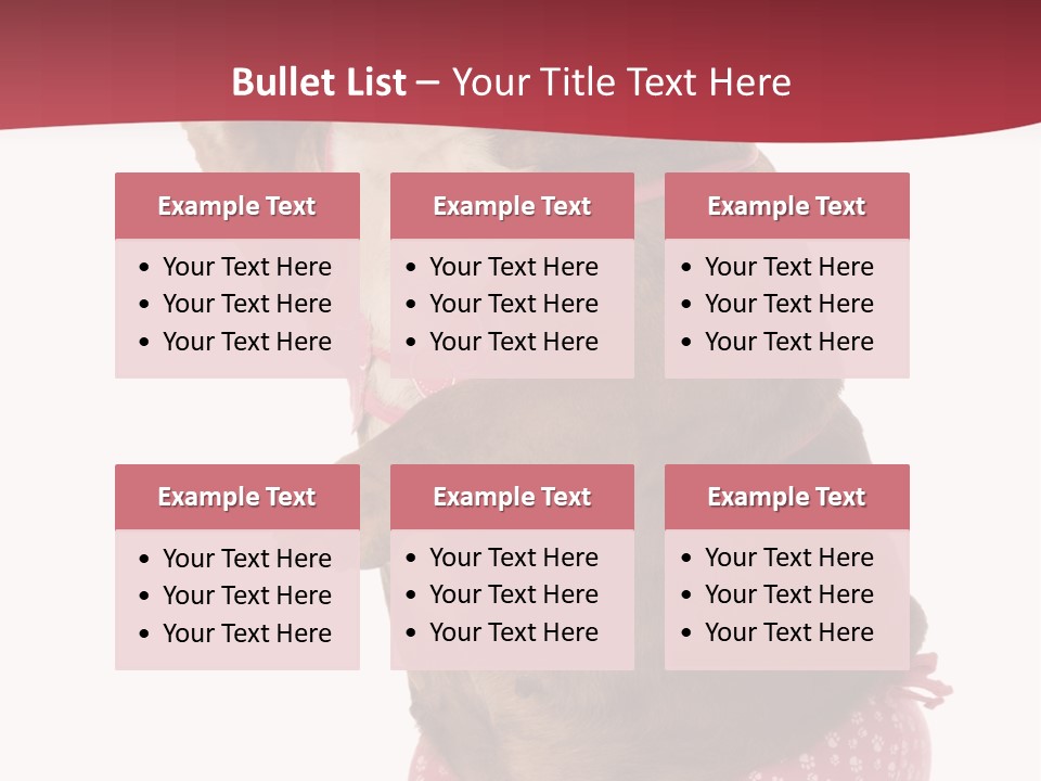 Bikini Wearing Funny PowerPoint Template