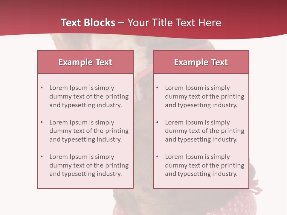 Bikini Wearing Funny PowerPoint Template