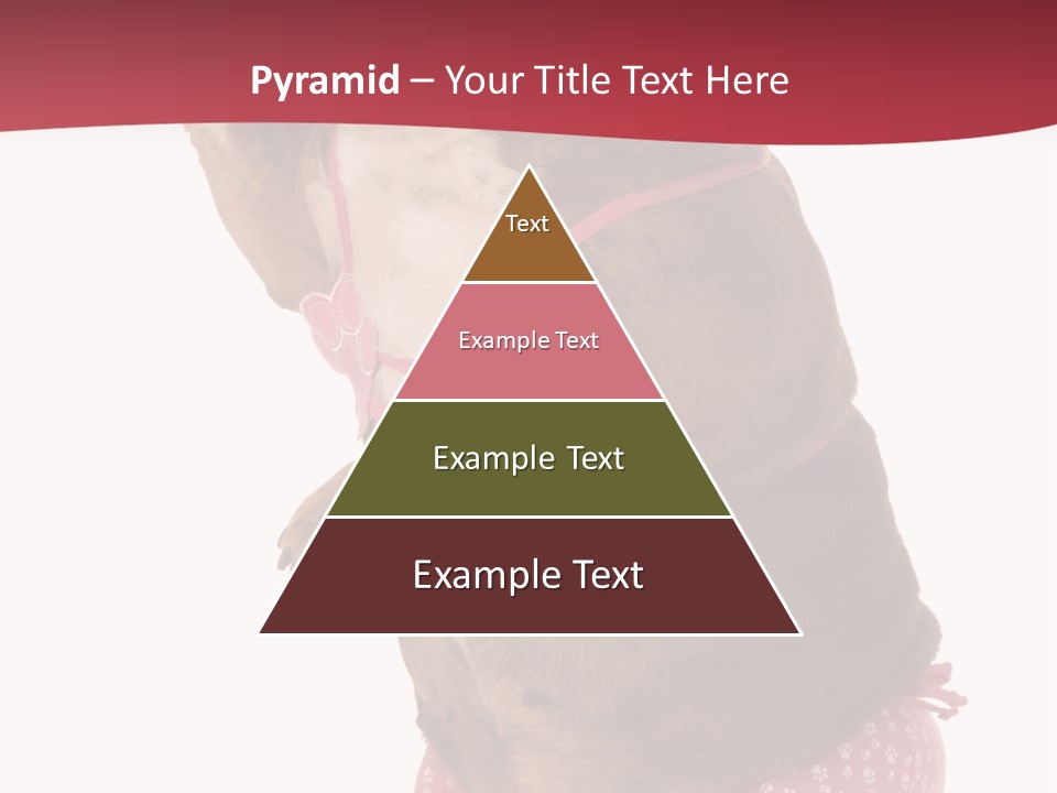 Bikini Wearing Funny PowerPoint Template