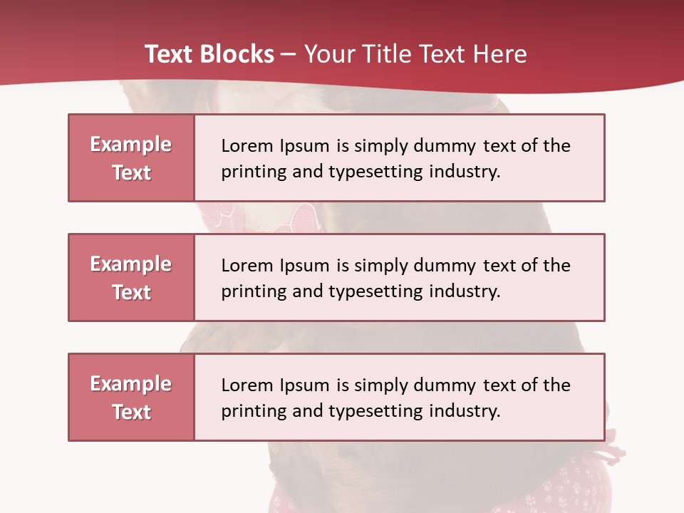 Bikini Wearing Funny PowerPoint Template