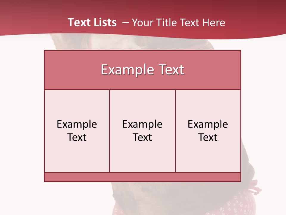 Bikini Wearing Funny PowerPoint Template