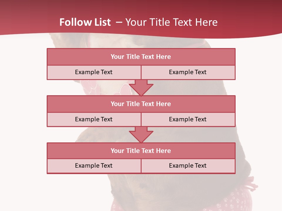 Bikini Wearing Funny PowerPoint Template