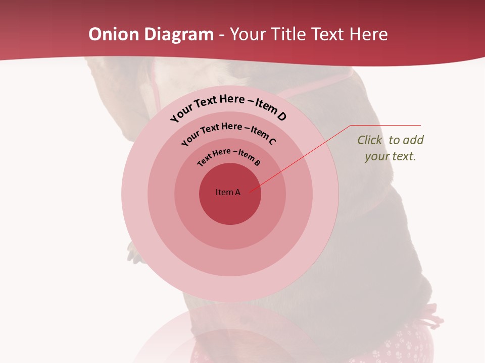 Bikini Wearing Funny PowerPoint Template