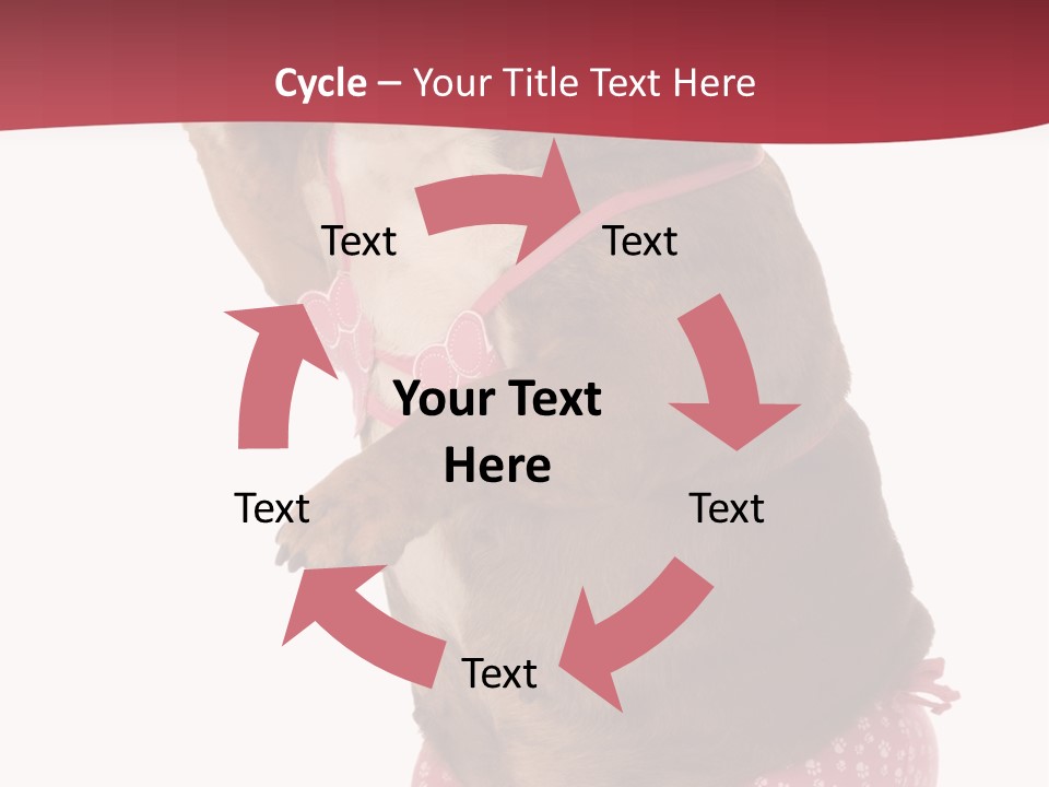 Bikini Wearing Funny PowerPoint Template