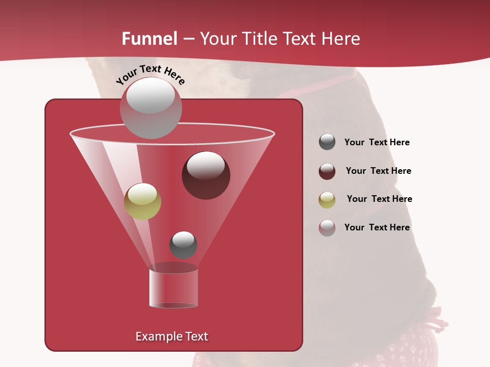 Bikini Wearing Funny PowerPoint Template