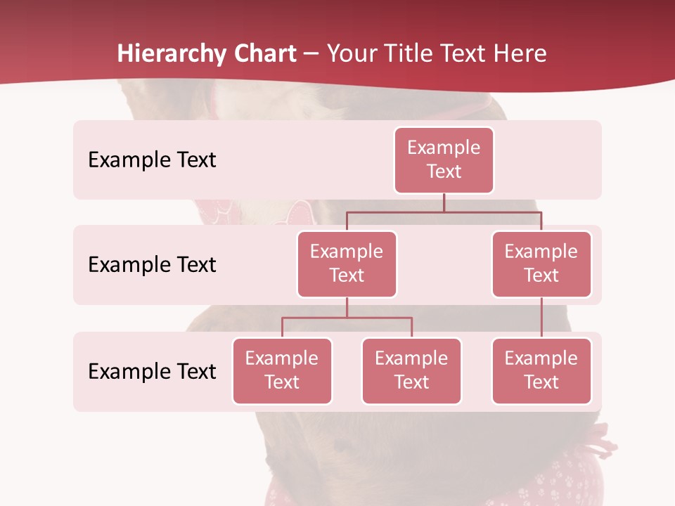 Bikini Wearing Funny PowerPoint Template