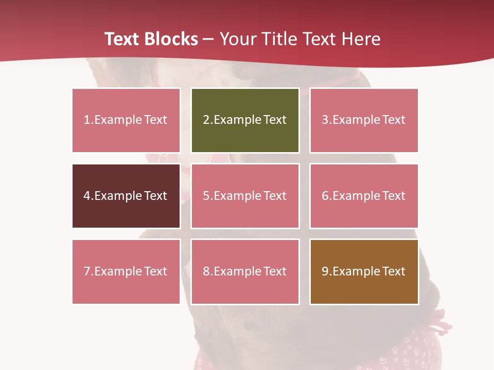 Bikini Wearing Funny PowerPoint Template