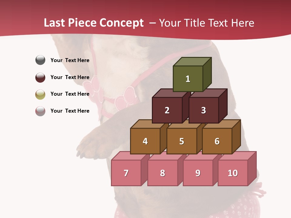 Bikini Wearing Funny PowerPoint Template