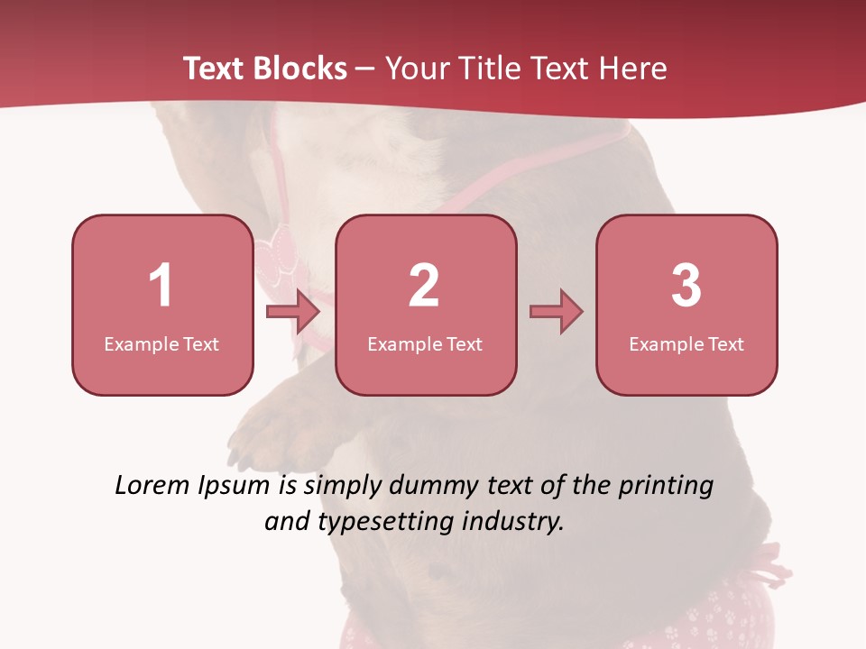 Bikini Wearing Funny PowerPoint Template