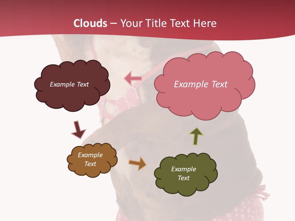 Bikini Wearing Funny PowerPoint Template