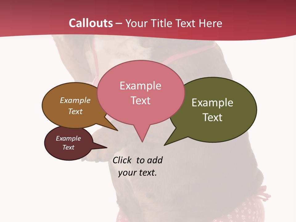 Bikini Wearing Funny PowerPoint Template