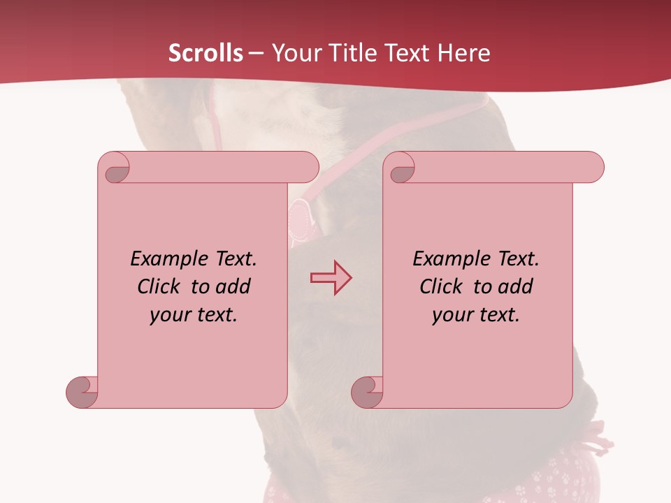 Bikini Wearing Funny PowerPoint Template