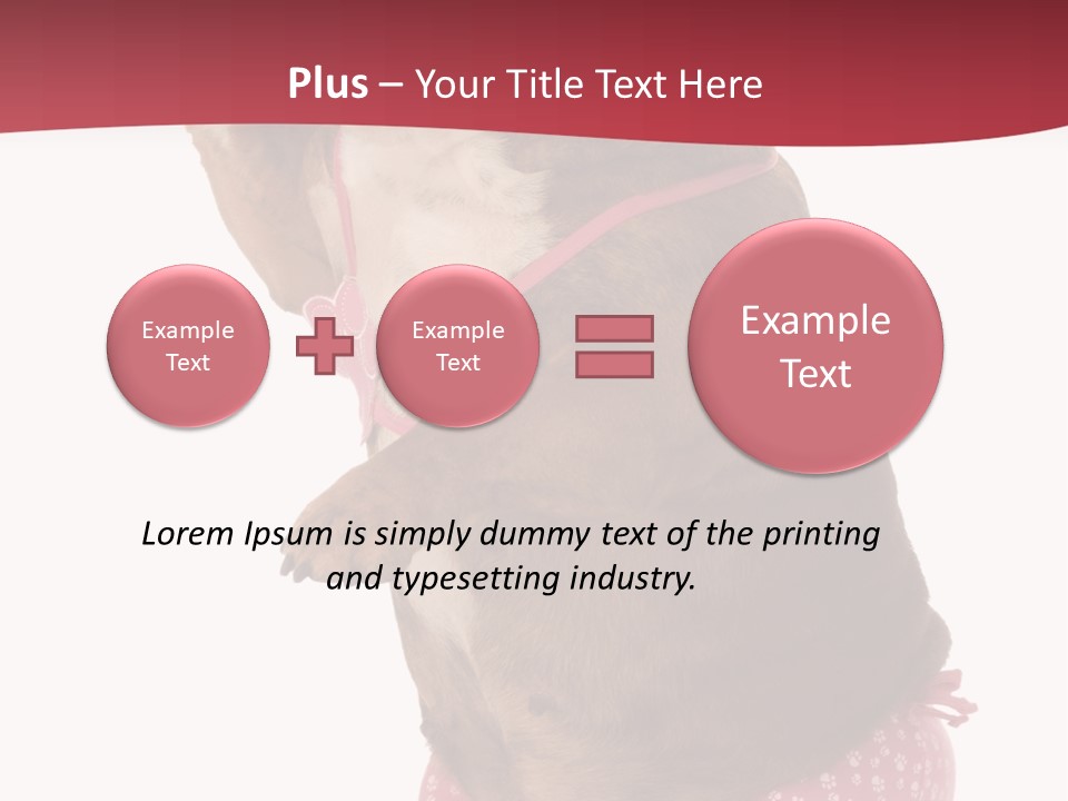 Bikini Wearing Funny PowerPoint Template