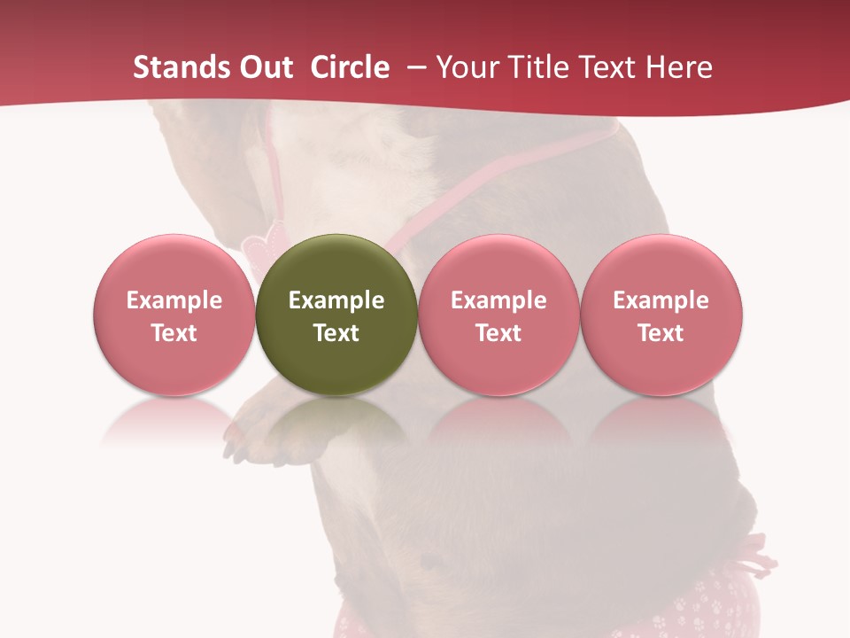 Bikini Wearing Funny PowerPoint Template