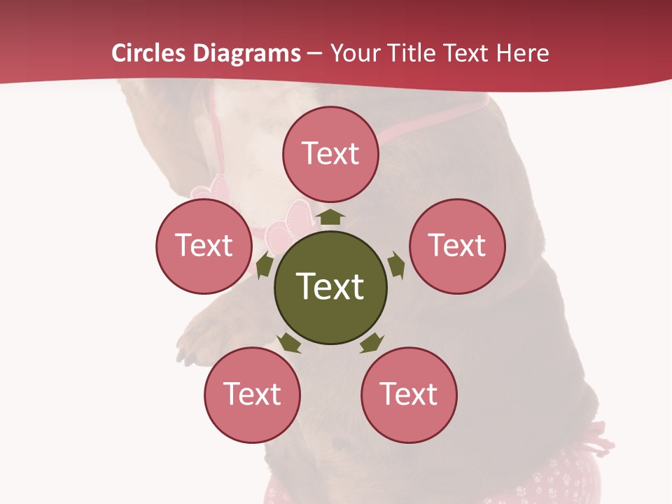 Bikini Wearing Funny PowerPoint Template