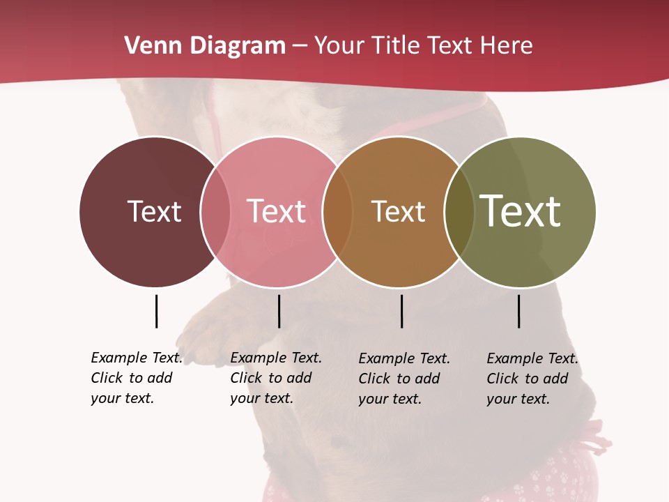 Bikini Wearing Funny PowerPoint Template