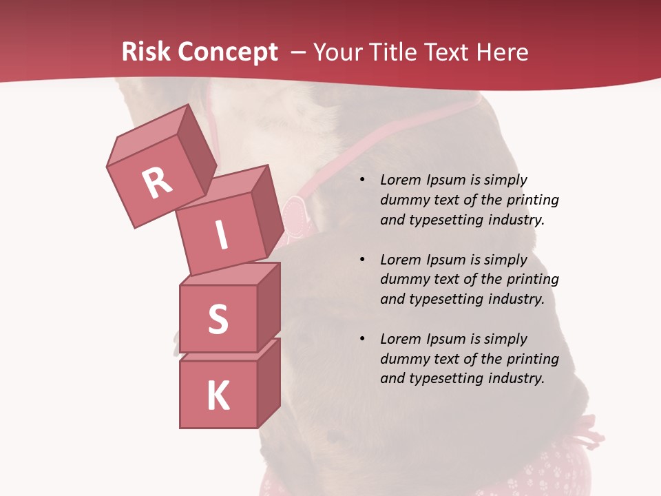 Bikini Wearing Funny PowerPoint Template