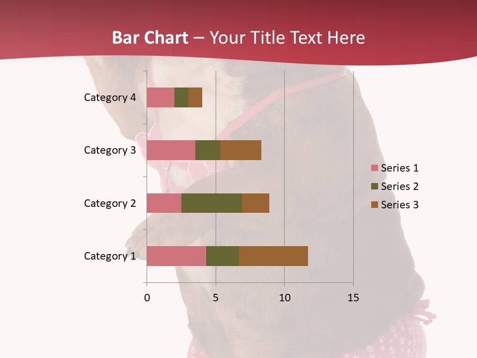 Bikini Wearing Funny PowerPoint Template