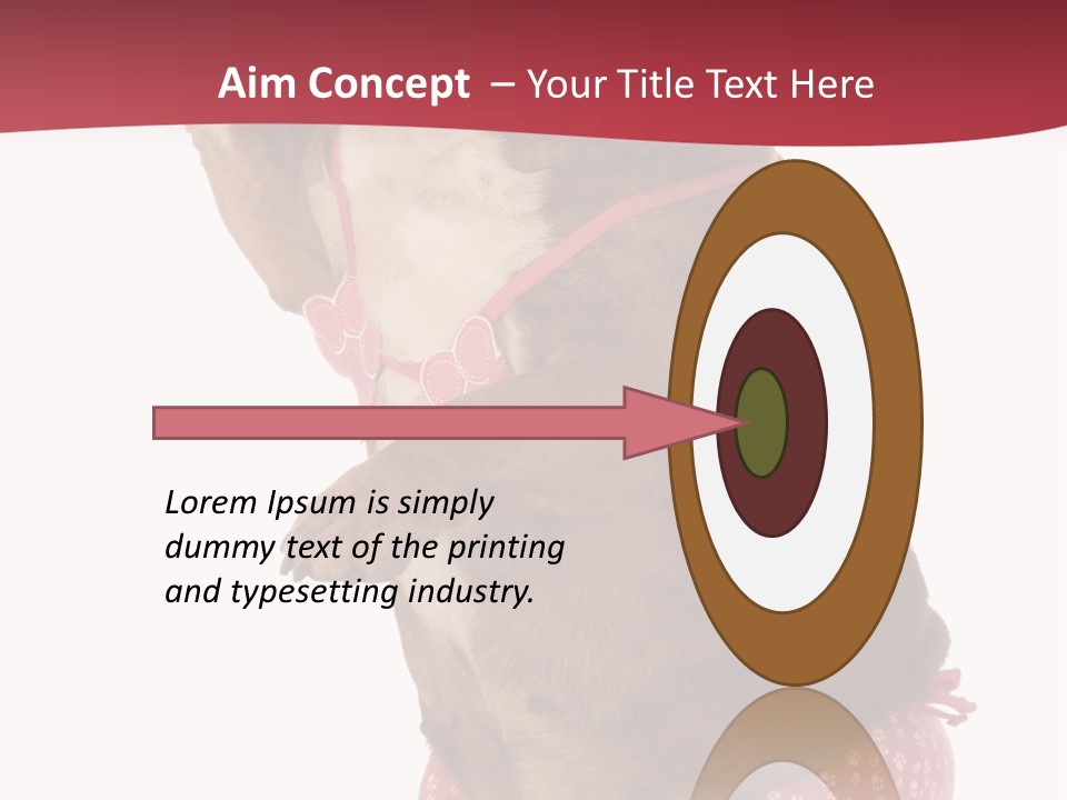 Bikini Wearing Funny PowerPoint Template