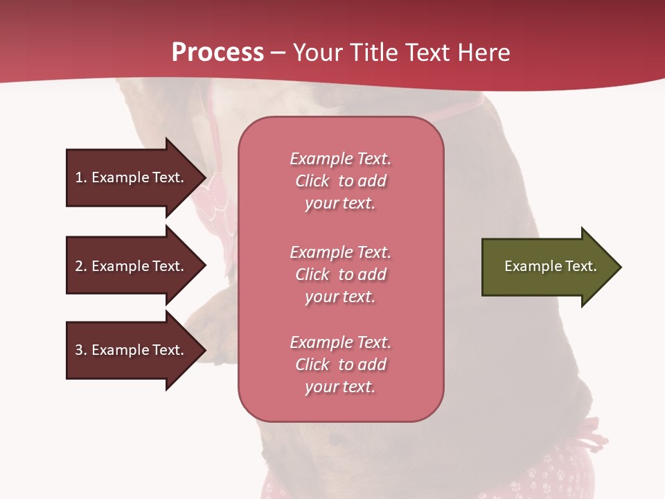 Bikini Wearing Funny PowerPoint Template