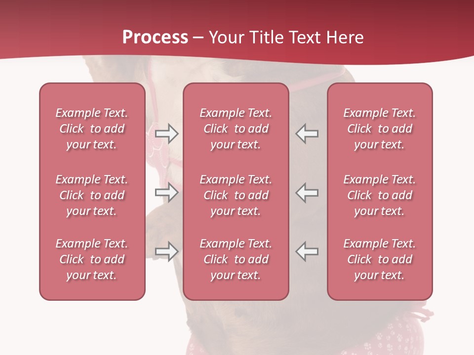 Bikini Wearing Funny PowerPoint Template