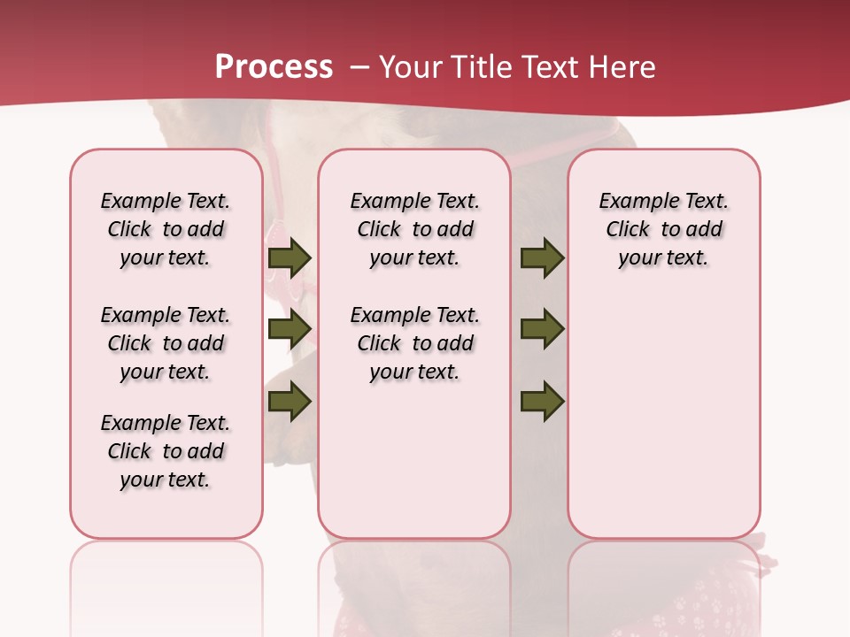 Bikini Wearing Funny PowerPoint Template