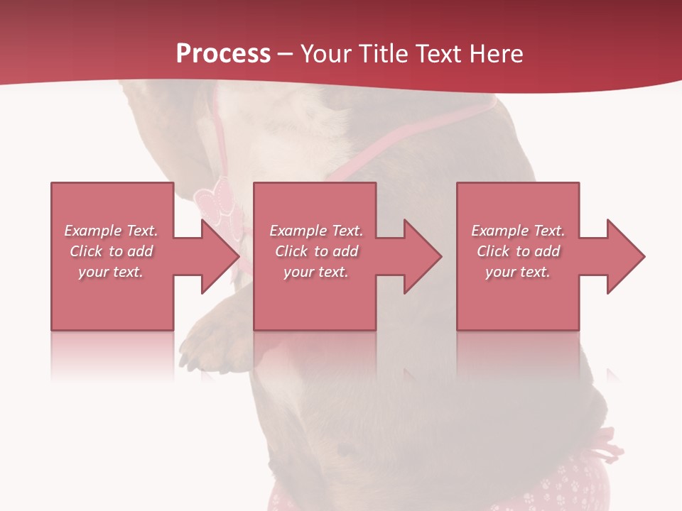 Bikini Wearing Funny PowerPoint Template