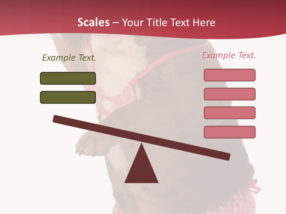 Bikini Wearing Funny PowerPoint Template