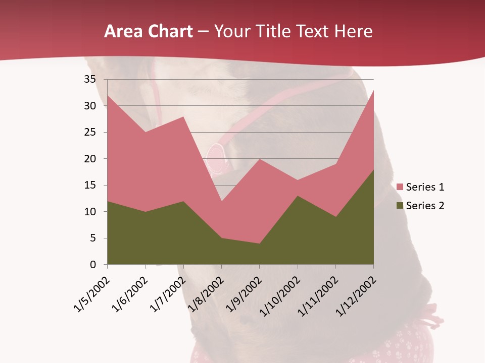 Bikini Wearing Funny PowerPoint Template