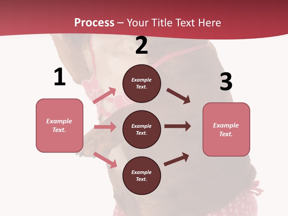 Bikini Wearing Funny PowerPoint Template