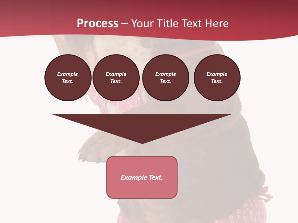 Bikini Wearing Funny PowerPoint Template