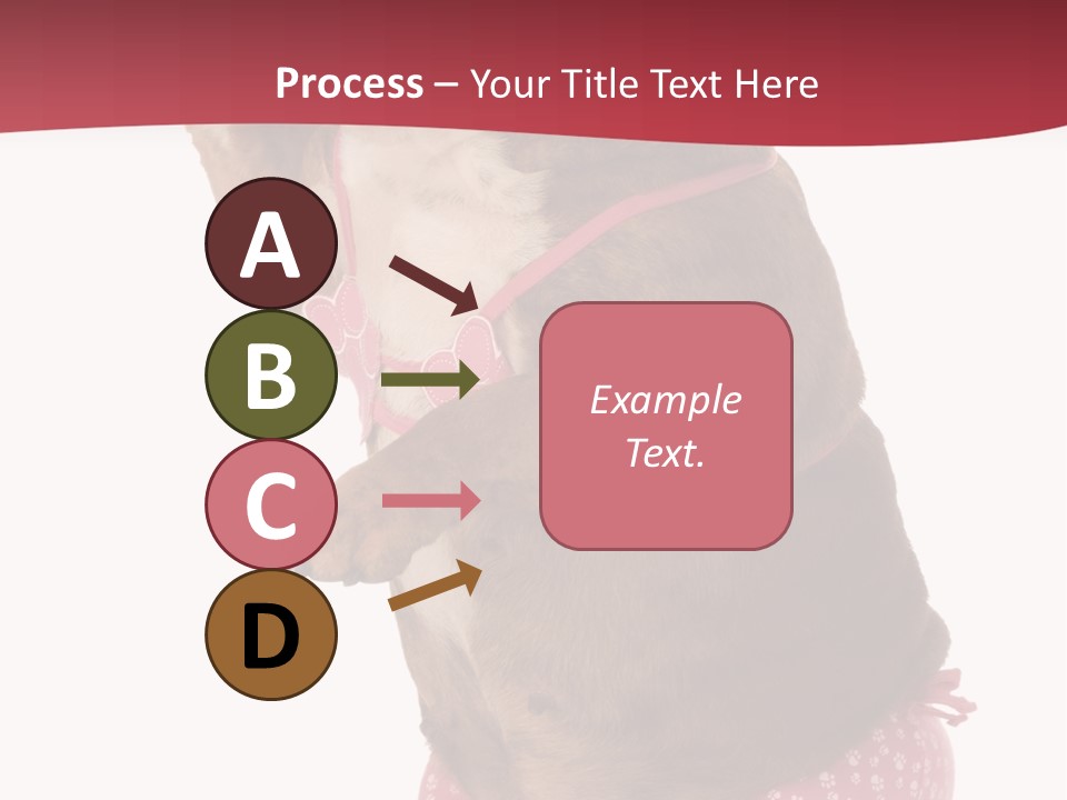 Bikini Wearing Funny PowerPoint Template