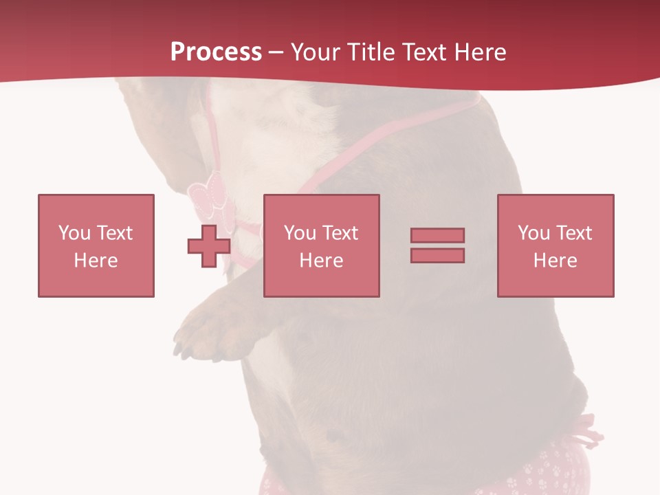 Bikini Wearing Funny PowerPoint Template