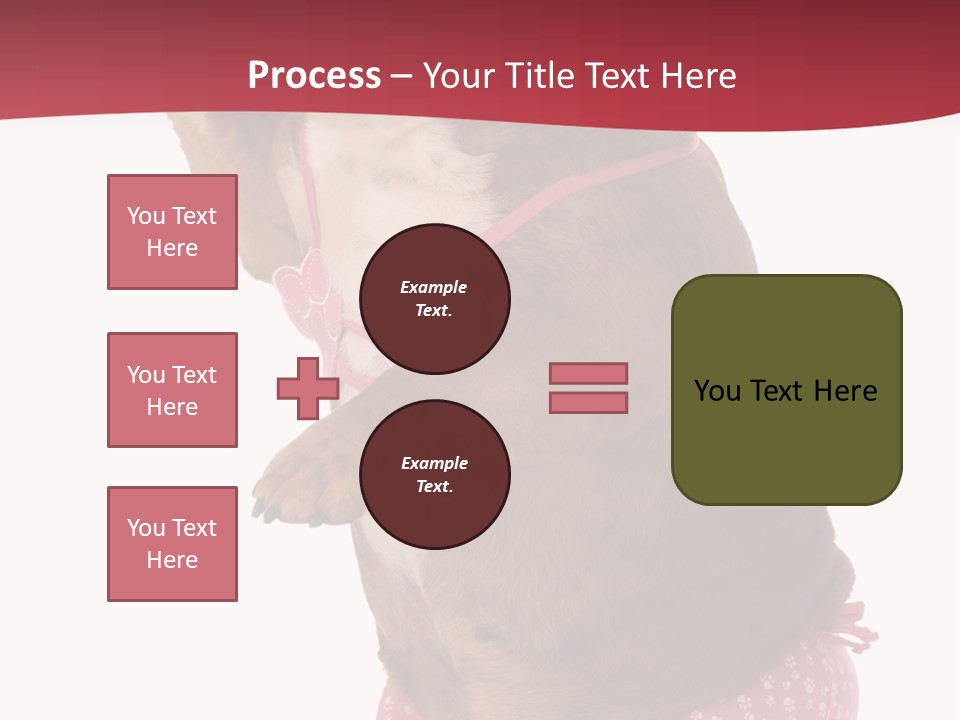 Bikini Wearing Funny PowerPoint Template