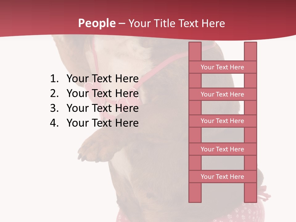 Bikini Wearing Funny PowerPoint Template