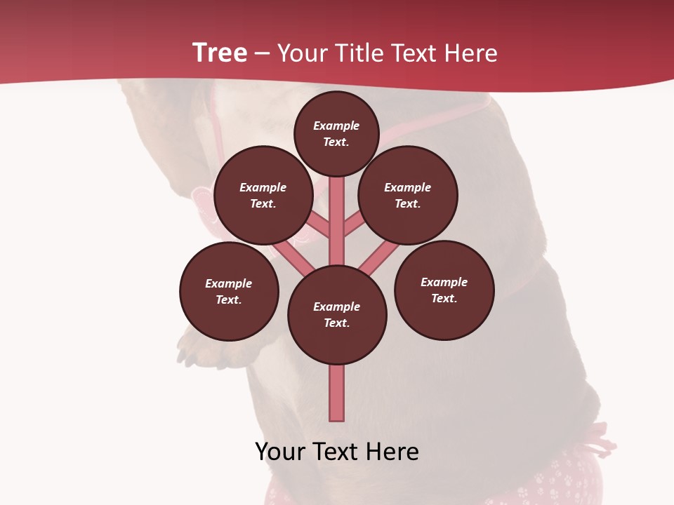 Bikini Wearing Funny PowerPoint Template