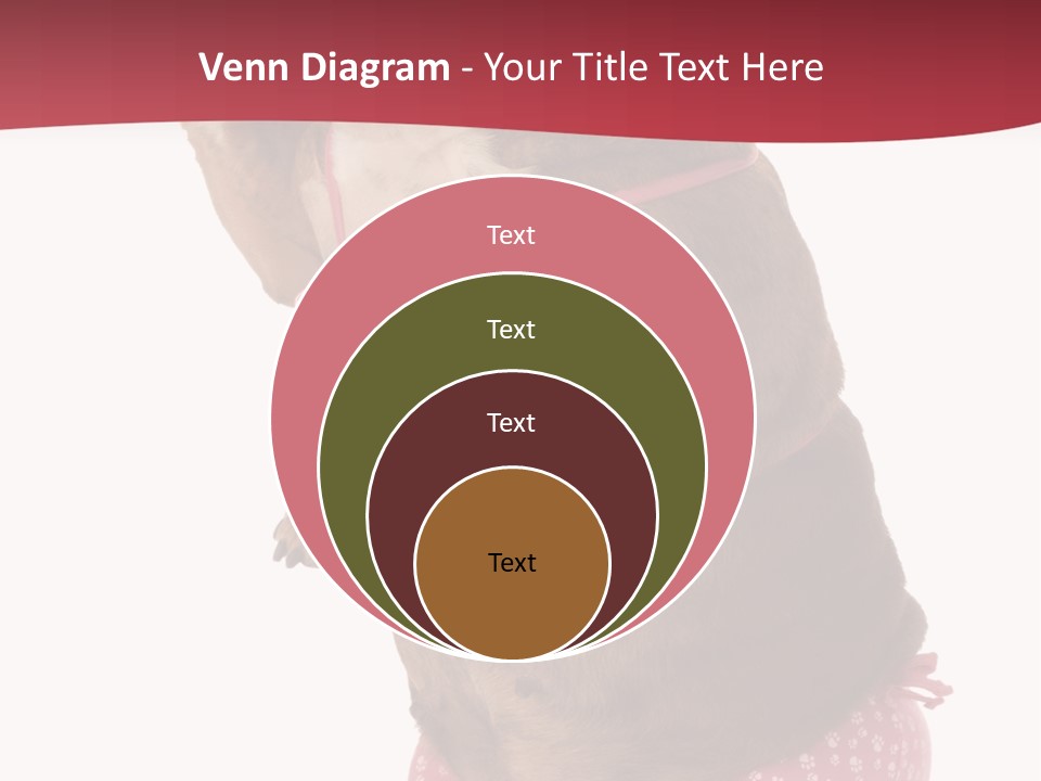 Bikini Wearing Funny PowerPoint Template