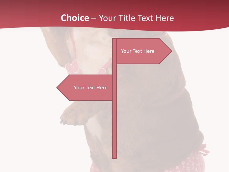 Bikini Wearing Funny PowerPoint Template