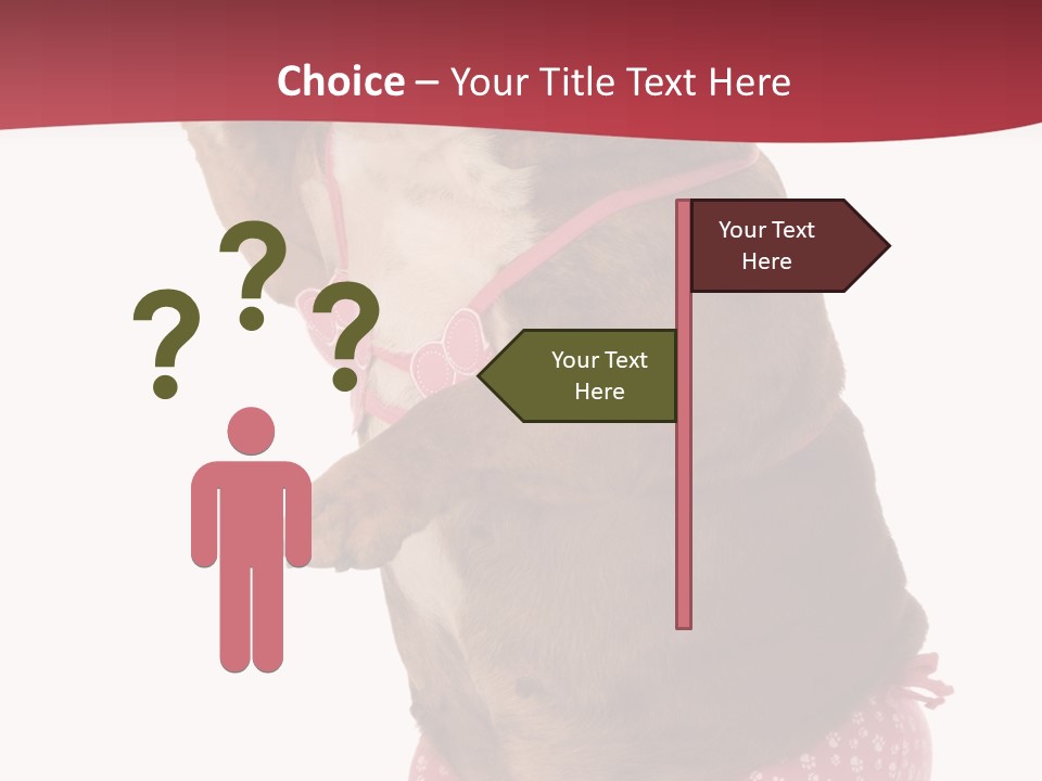 Bikini Wearing Funny PowerPoint Template