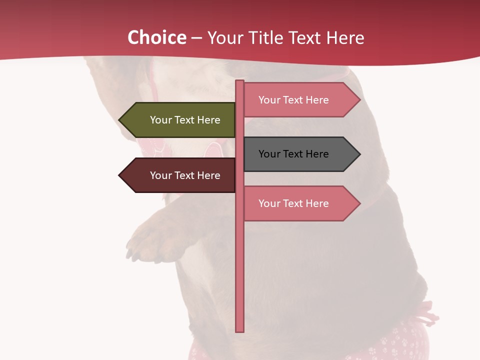 Bikini Wearing Funny PowerPoint Template