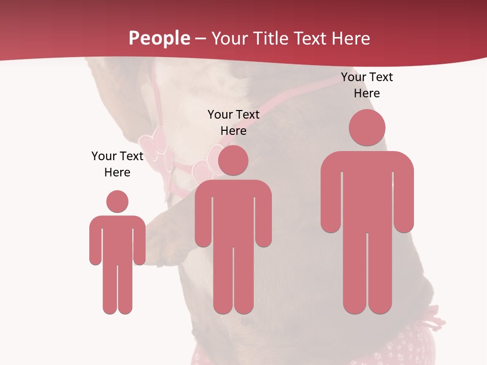 Bikini Wearing Funny PowerPoint Template