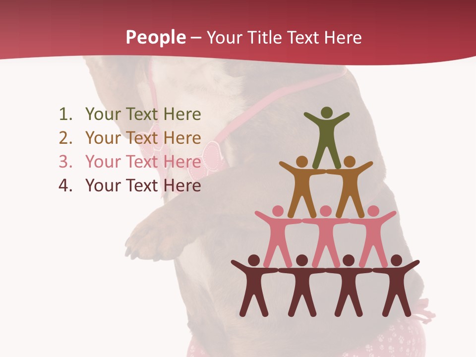 Bikini Wearing Funny PowerPoint Template